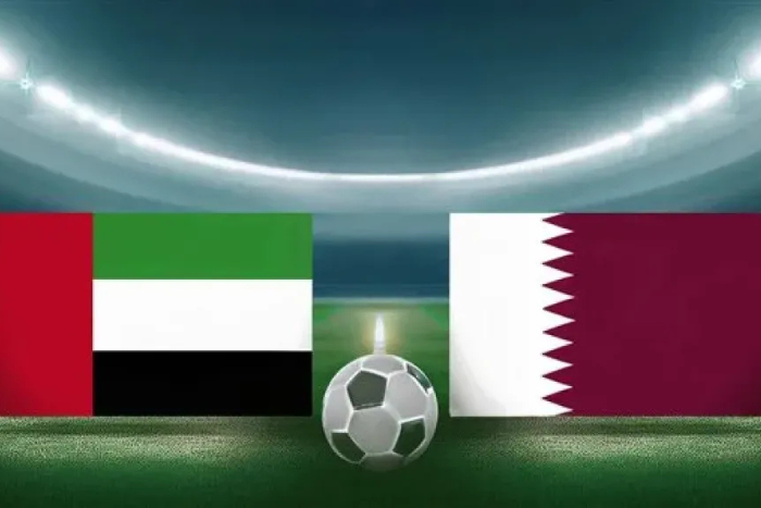 مشاهد مؤسفة في مباراة قطر والإمارات 