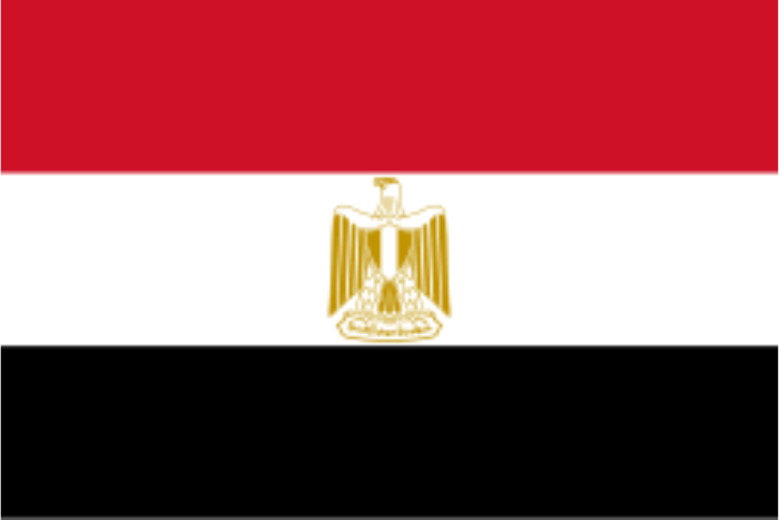 بعد قمة شرم الشيخ قناة السويس تحقق رقما غير مسبوق