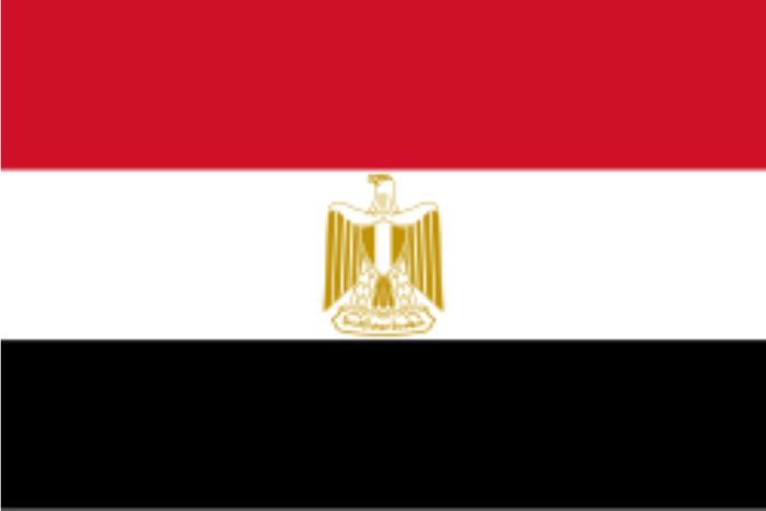 استقدام مصر 4 سفن عملاقة استعدادا لفصل الصيف