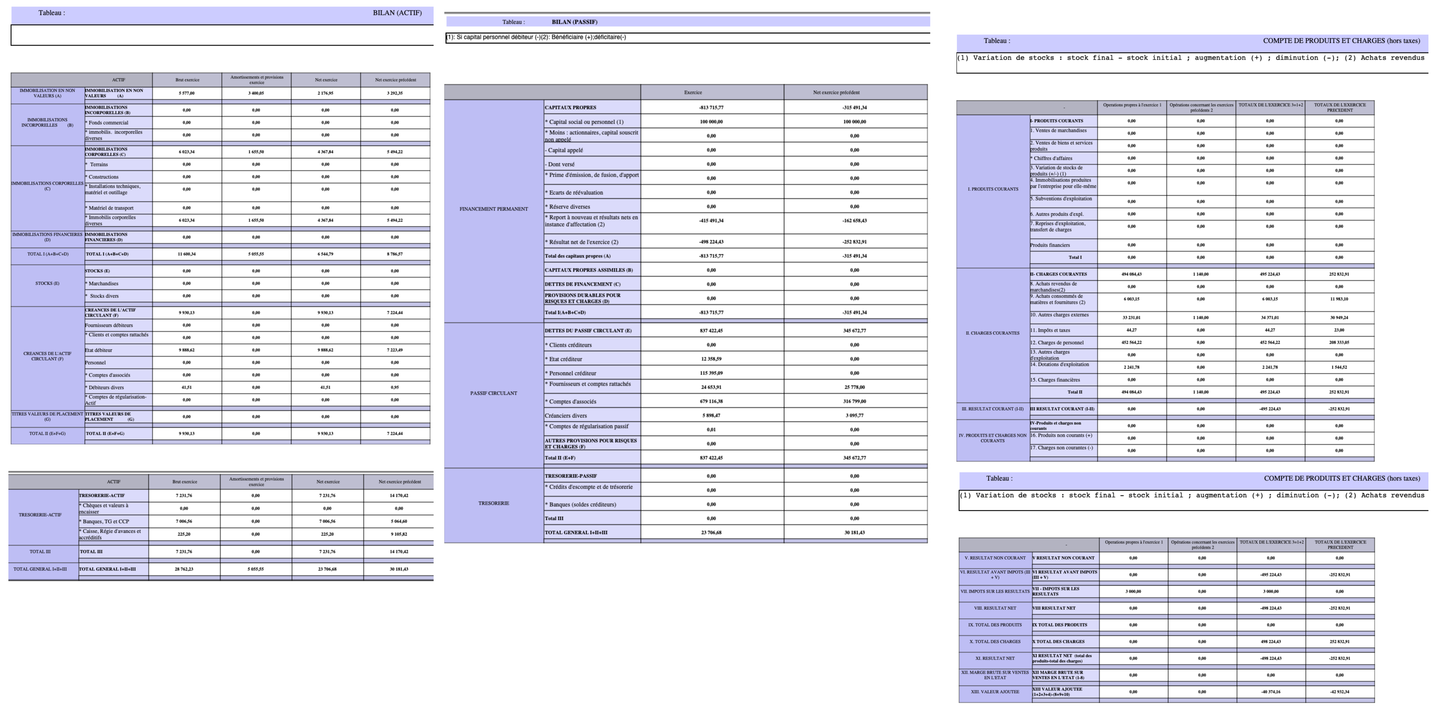  البيان الإجمالي الختامي لشركة AFRICAN SERVICE PRESS الناشرة لجريدة أفريكا فور بريس الخاص بسنة 2024