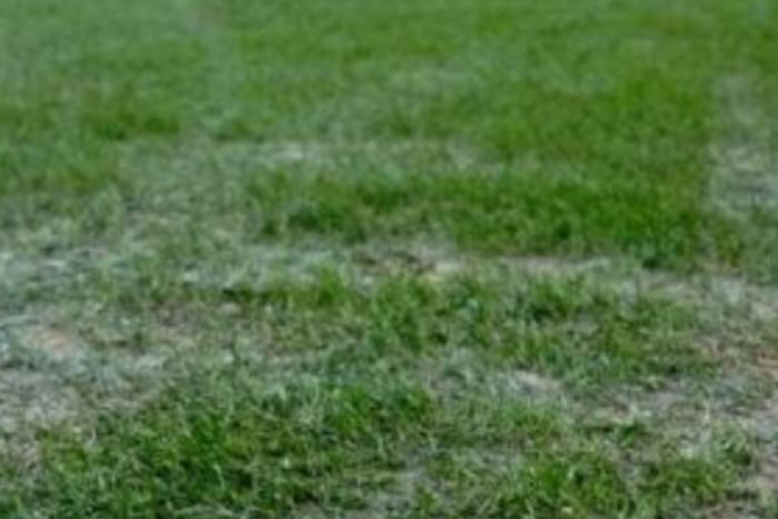 الملاعب الجديدة في الجزائر: وضع كارثي يثير الدهشة والاستغراب