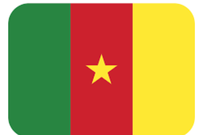 الكاميرون مقتل 48 شخصا على الأقل في أعمال عنف أعقبت الانتخابات الرئاسية 