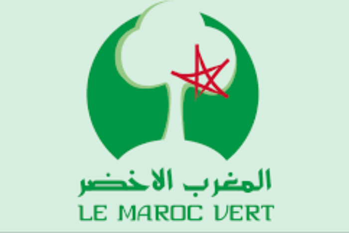 مخطط 