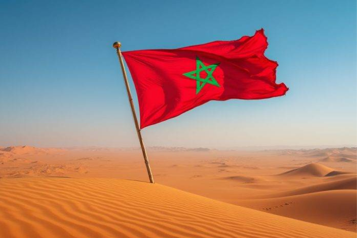 قرار مجلس الأمن يكرس براغماتية المغرب في حل قضية الصحراء تحت قيادة الملك محمد السادس قرار مجلس الأمن يكرس براغماتية المغرب في حل قضية الصحراء تحت قيادة الملك محمد السادس