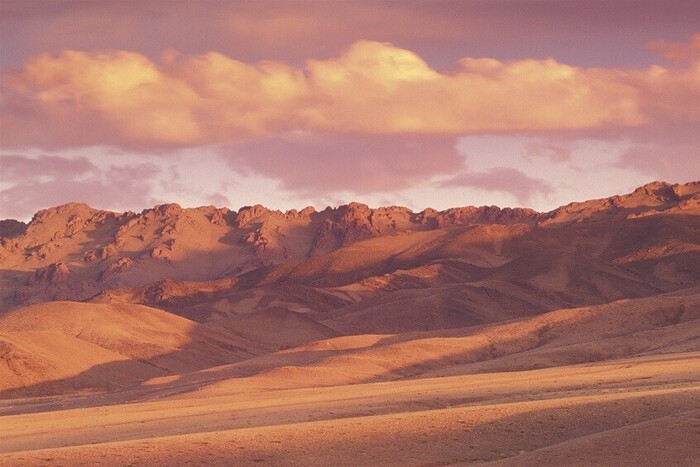 علماء حفريات يعثرون على نوع غير معروف من الثدييات بمنغوليا