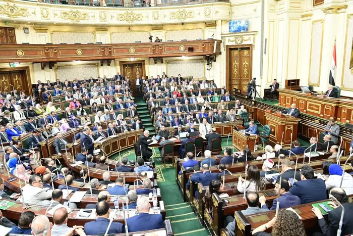 مصر تجري انتخابات أعضاء الغرفة الثانية وسط متابعة هيئات وطنية ودولية