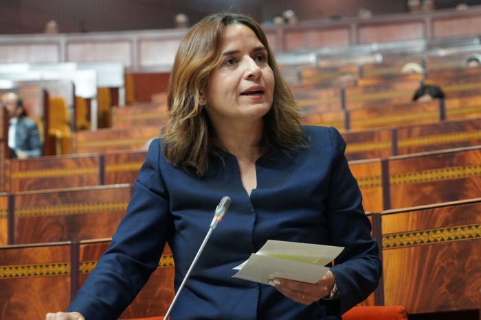 المغرب رائد إقليمي في مجال إنتاج الطاقة المتجددة وفي تطوير المعادن الاستراتيجية المغرب رائد إقليمي في مجال إنتاج الطاقة المتجددة وفي تطوير المعادن الاستراتيجية