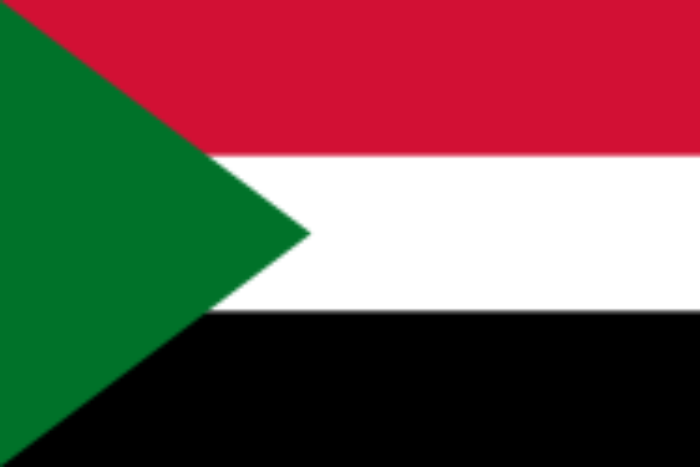 انهيار جسر حيوي في السودان يربط بين مدينة الرهد بولاية شمال كردفان انهيار جسر حيوي في السودان يربط بين مدينة الرهد بولاية شمال كردفان