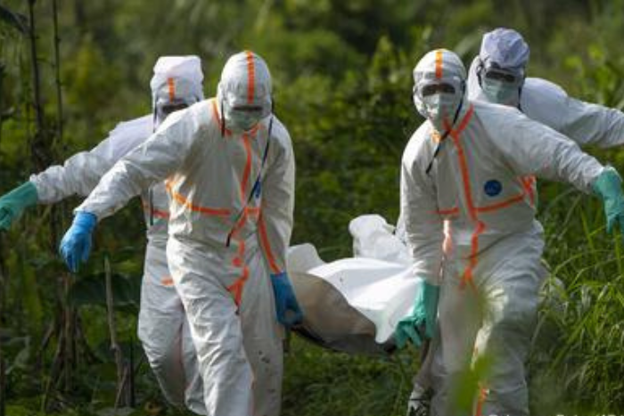 الكونغو تعلن عن تفشي جديد لإيبولا يودي بحياة 15 شخصا الكونغو تعلن عن تفشي جديد لإيبولا يودي بحياة 15 شخصا