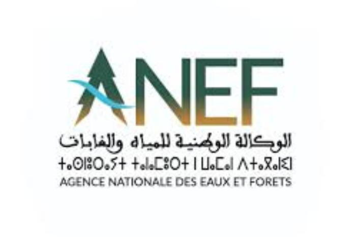 انطلاق موسم القنص 2025-2026 بجهة فاس-مكناس وسط تدابير مشددة لضمان نجاحه
