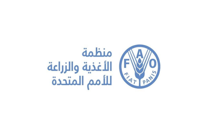 الفاو: أسعار الغذاء العالمية تبلغ أعلى مستوى منذ فبراير 2023