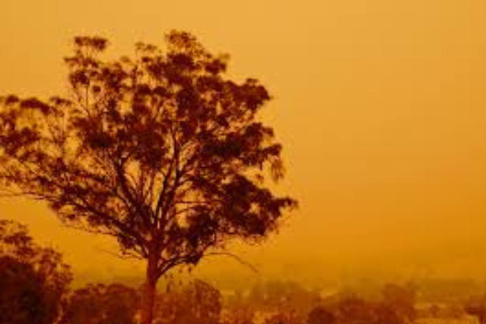 موسم الحرائق بأستراليا يودي بحياة رجل إطفاء