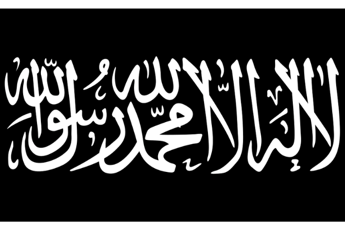 جماعة نصرة الإسلام والمسلمين تحاول خنق مالي بقطع واردات الوقود
