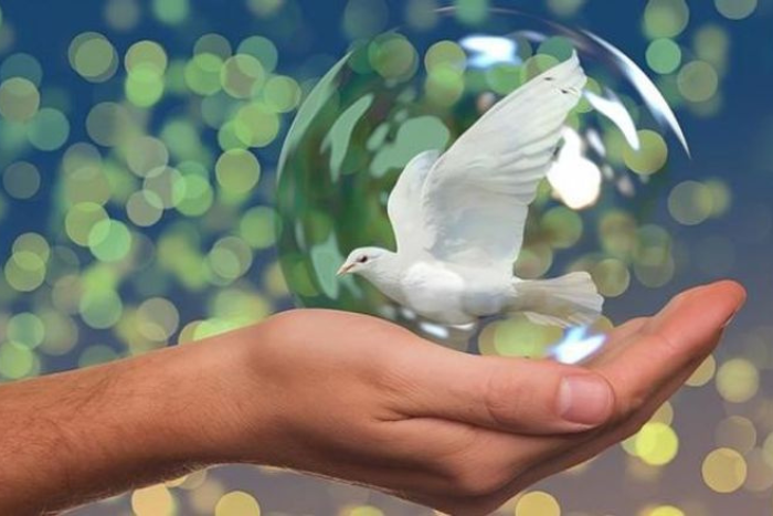 اليونسكو تحتفل باليوم العالمي للعلوم لدعم السلام والتنمية