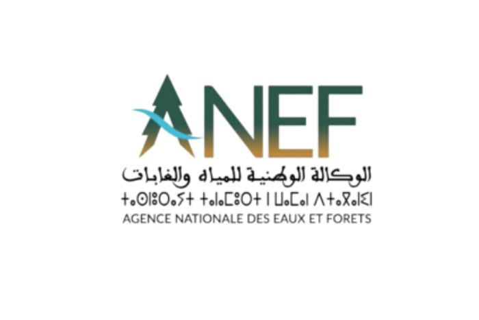 تحيين المخطط التوجيهي للمناطق المحمية يفتح مرحلة جديدة لحماية التراث الطبيعي بالمغرب