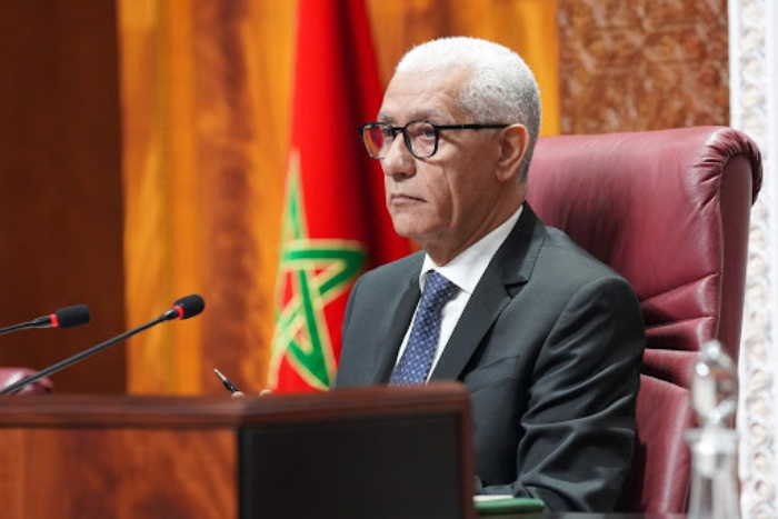 الطالبي العلمي يعزز التعاون مع الإنتوساي OECD في تعزيز استقلالية الرقابة المالية بالمغرب