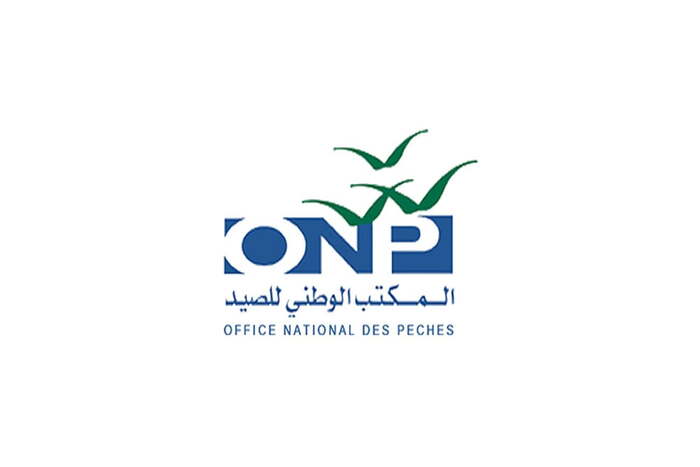 مفرغات الصيد البحري بالسواحل الشمالية