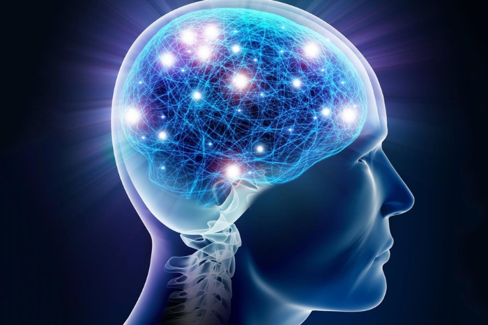 دراسة جديدة تربط الإيقاع اليومي للجينات بمرض الزهايمر واضطرابات النوم