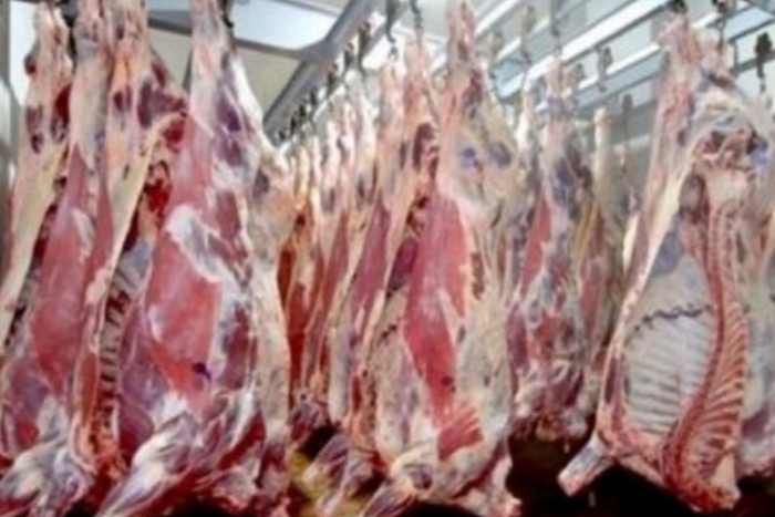 شركة كازابلانكا للخدمات تغلق مسالخها خلال عيد الأضحى شركة كازابلانكا للخدمات تغلق مسالخها خلال عيد الأضحى