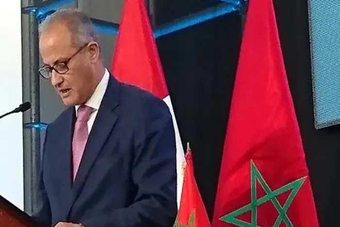 المغرب يؤكد بروما ريادة المملكة في تطوير سياسة إفريقية متعددة الأبعاد المغرب يؤكد بروما ريادة المملكة في تطوير سياسة إفريقية متعددة الأبعاد