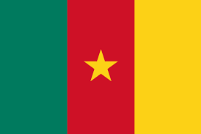 الأزمة ما بعد الانتخابات في الكاميرون تخلف 16 قتيلا وأكثر من 800 معتقل