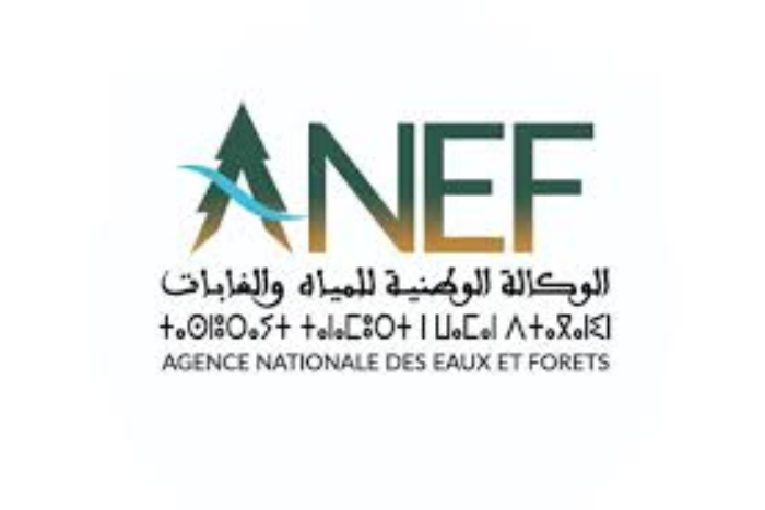 الوكالة الوطنية للمياه والغابات تصدر خرائط تنبؤية لتحديد المناطق المعرضة لحرائق الغابات الوكالة الوطنية للمياه والغابات تصدر خرائط تنبؤية لتحديد المناطق المعرضة لحرائق الغابات