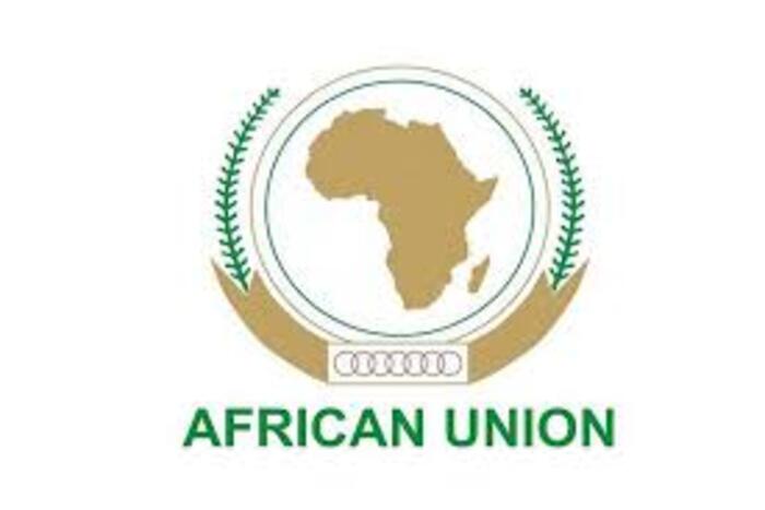 المغرب يؤكد عل دور التعليم في تنمية إفريقيا وأمنها المستدامين