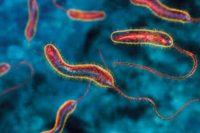 إفريقيا تواجه أسوأ تفش للكوليرا منذ ربع قرن ضعف البنية المائية وتصاعد النزاعات