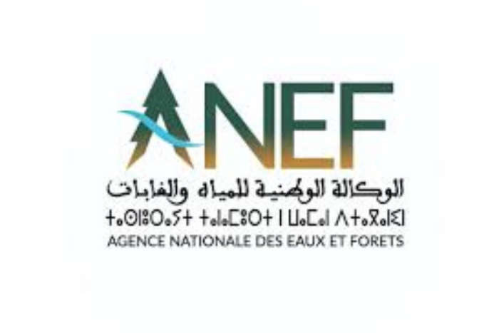 الوكالة الوطنية للمياه والغابات تطلق خرائط تنبؤية يومية لرصد أخطار حرائق الغابات الوكالة الوطنية للمياه والغابات تطلق خرائط تنبؤية يومية لرصد أخطار حرائق الغابات