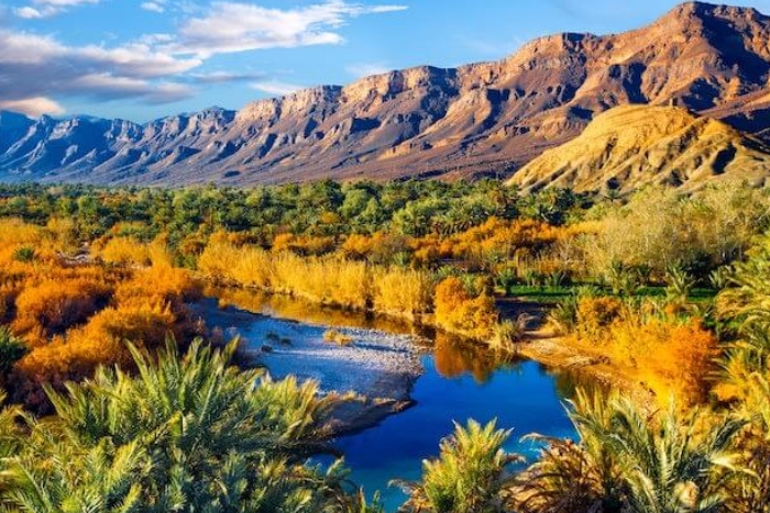 المغرب يخصص 10 ملايين دولار لإنقاذ واحات درعة المغرب يخصص 10 ملايين دولار لإنقاذ واحات درعة
