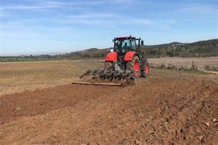 أمطار الخير التي عرفتها جهة الدار البيضاء-سطات ذات أثر إيجابي على الموسم الفلاحي