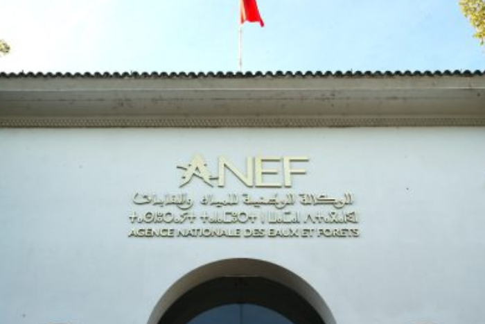 الوكالة الوطنية للمياه والغابات تؤكد التزامها بتأهيل غابة المعمورة بسلا الجديدة بشكل مستدام الوكالة الوطنية للمياه والغابات تؤكد التزامها بتأهيل غابة المعمورة بسلا الجديدة بشكل مستدام