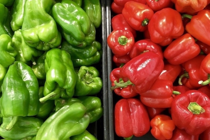 المغرب يسجل رقما قياسيا في صادرات الفلفل مع ارتفاع مبيعات الحمضيات في أوروبا