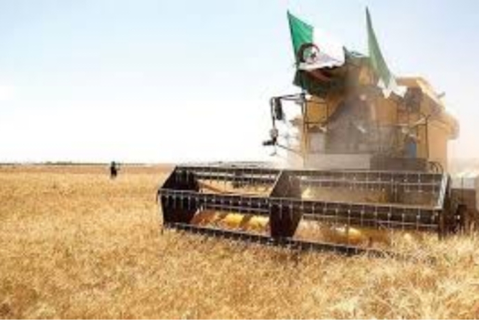 الأمن الغذائي من خلال الفلاحة الإيكولوجية في ورشة عمل بالسنغال