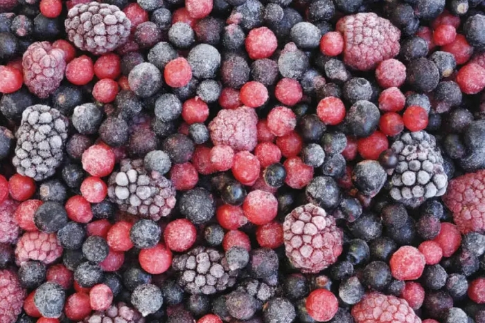 المغرب يصدر ما يقرب من 2000 طن من التوت المجمد إلى فرنسا 