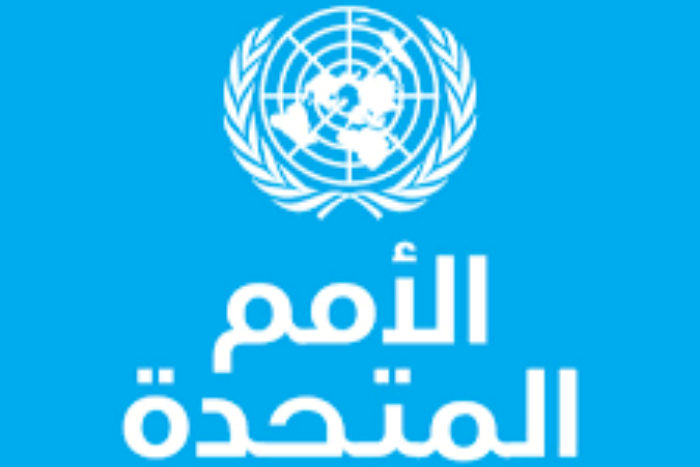 الأمم المتحدة تحذر من انسداد أمني في الكونغو رغم التقدم الدبلوماسي الأمم المتحدة تحذر من انسداد أمني في الكونغو رغم التقدم الدبلوماسي