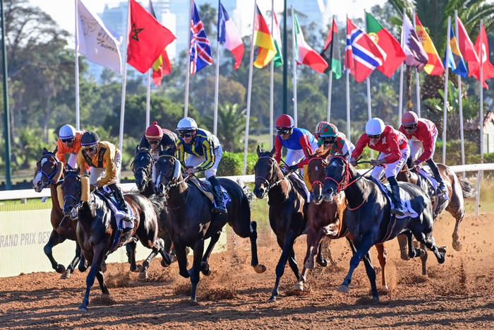 الفرس مشرف يتوج بجائزة صاحب الجلالة للخيول تالعربية الأصيلة