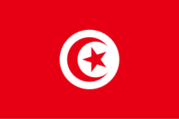 تونس 4 آلاف و500 مهاجر غير نظامي غادروا طوعيا 