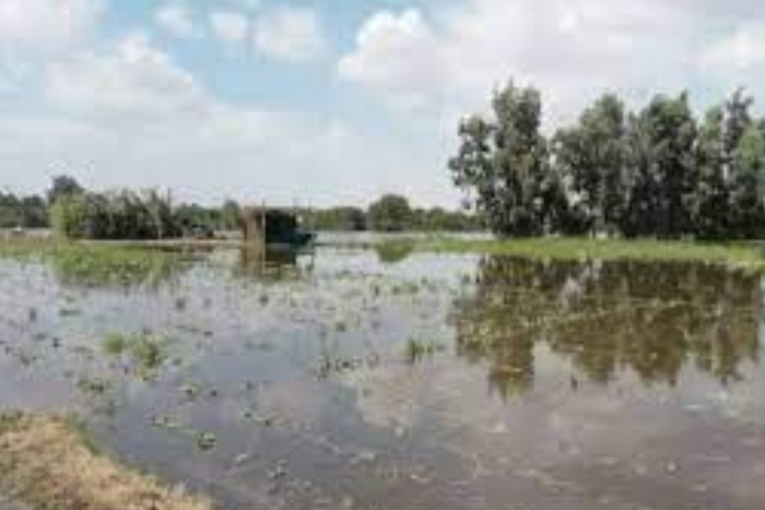 أكثر من 960 ألف شخص تضرروا من الفيضانات في جنوب السودان أكثر من 960 ألف شخص تضرروا من الفيضانات في جنوب السودان