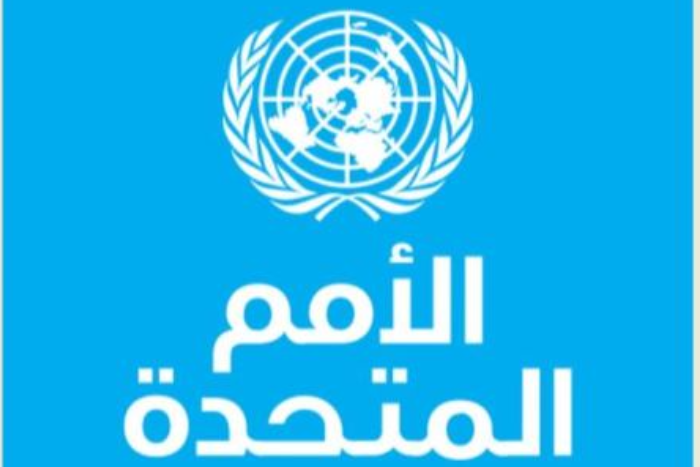 نحو 50 ألف امرأة وفتاة قتلن على يد أحد أقاربهن عام 2024