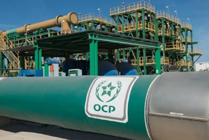  تنشئ شركة قابضة في هولندا لأصولها الأجنبيةOCP Nutricrops