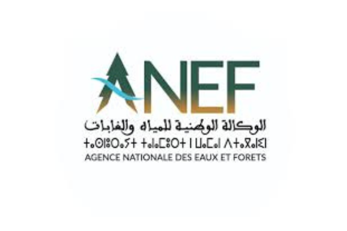 الوكالة الوطنية للمياه والغابات تبدأ في نشر خرائط استباقية لمخاطر حرائق الغابات
