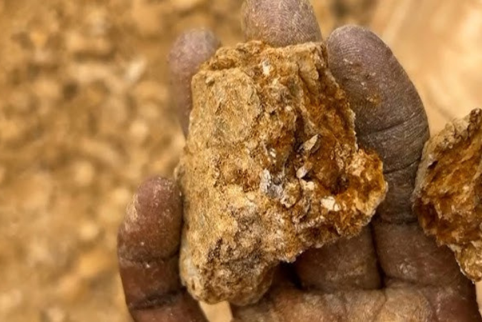 بريق الذهب يخفي كارثة بيئية في السنغال بريق الذهب يخفي كارثة بيئية في السنغال