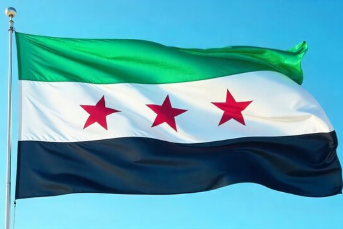 سوريا تعلن عن القوائم النهائية لأعضاء الهيئات الناخبة