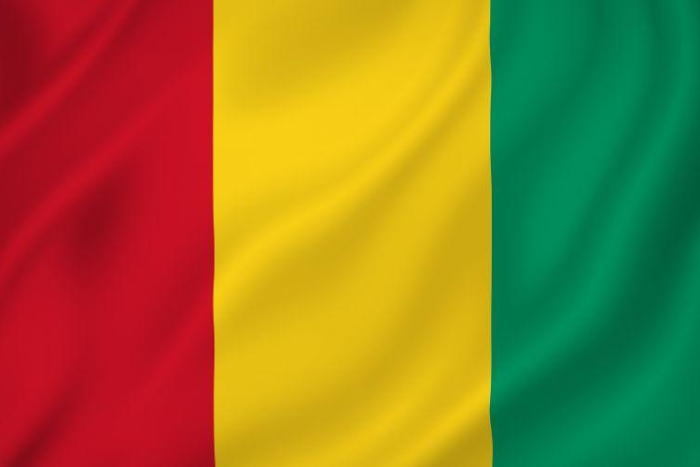 غينيا تشيد بدينامية التنمية التي يباشرها جلالة الملك