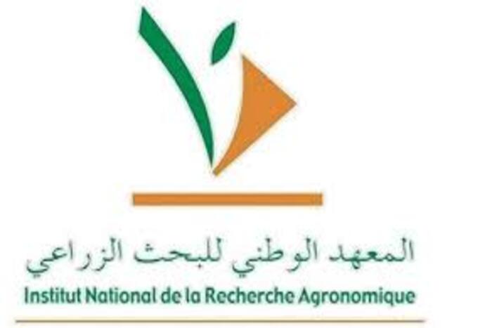 يوم دراسي بمنطقة مرشوش حول الزراعة في المناطق الجافة يوم دراسي بمنطقة مرشوش حول الزراعة في المناطق الجافة