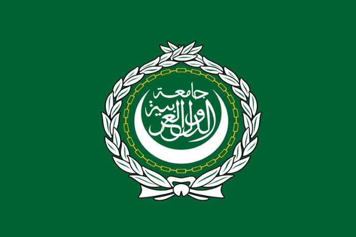 القاهرة تحتضن المؤتمر العربي الرابع للرياضة والقانون في غشت المقبل