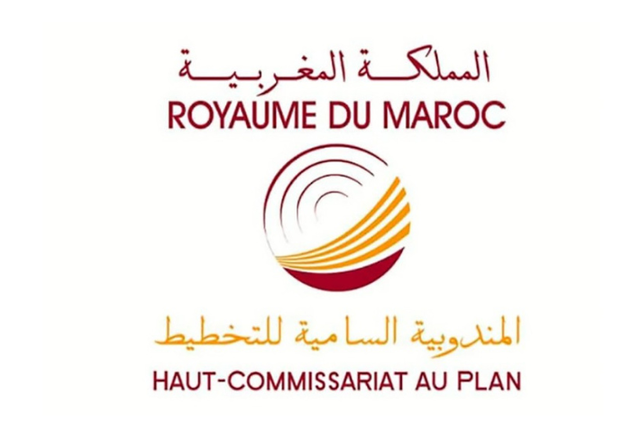 الرقم الاستدلالي للأثمان عند الإنتاج الصناعي والطاقي والمعدني النقاط الرئيسية في مذكرة المندوبية السامية للتخطيط