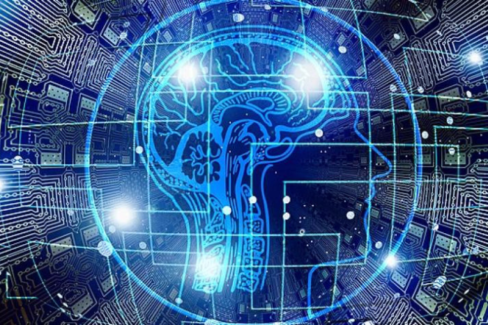 أداة ذكاء اصطناعي جديدة تكشف أثر التوتر المزمن عبر قياس حجم الغدة الكظرية في صور الأشعة المقطعية