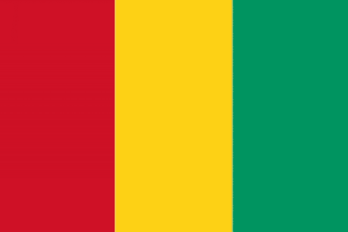 غينيا تنتخب رئيسا جديدا في أول اقتراع منذ انقلاب 2021 وسط جدل سياسي وأمني